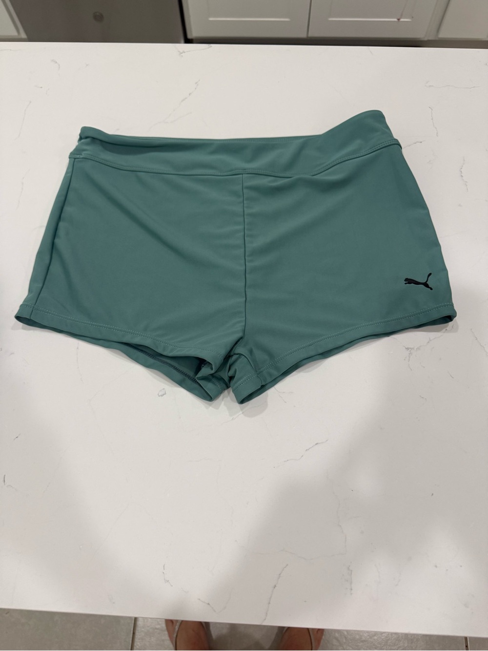 PUMA Sage Green Athletic Running Shorts Women's Large